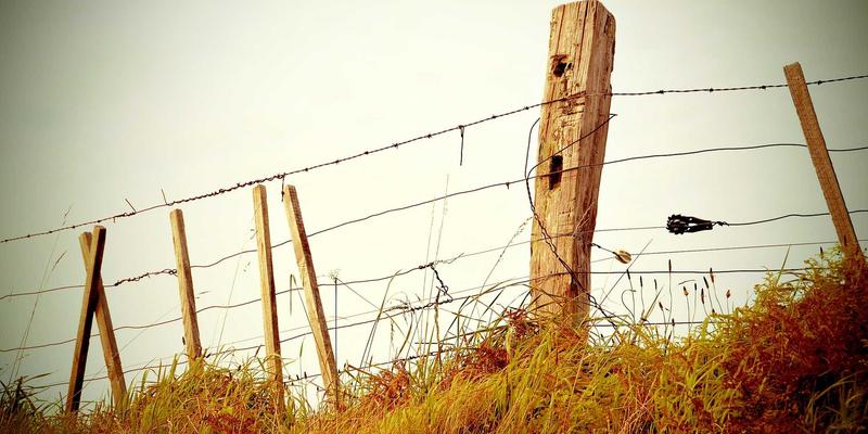 房产排行推荐：潜力新区房产投资榜